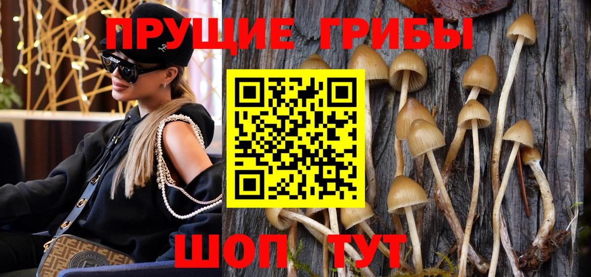 Черемхово  Галлюциногенные грибы Magic Shrooms  Вход с VPN  Псилоцибиновые грибы ЛСД 
