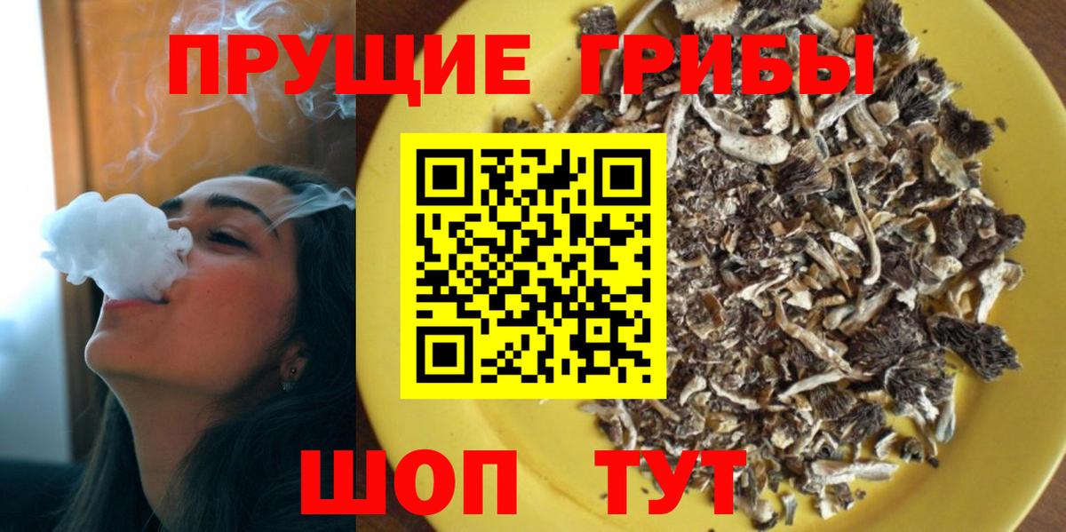 Псилоцибиновые грибы Psilocybine cubensis Черемхово